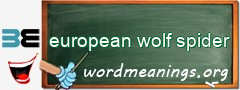 WordMeaning blackboard for european wolf spider